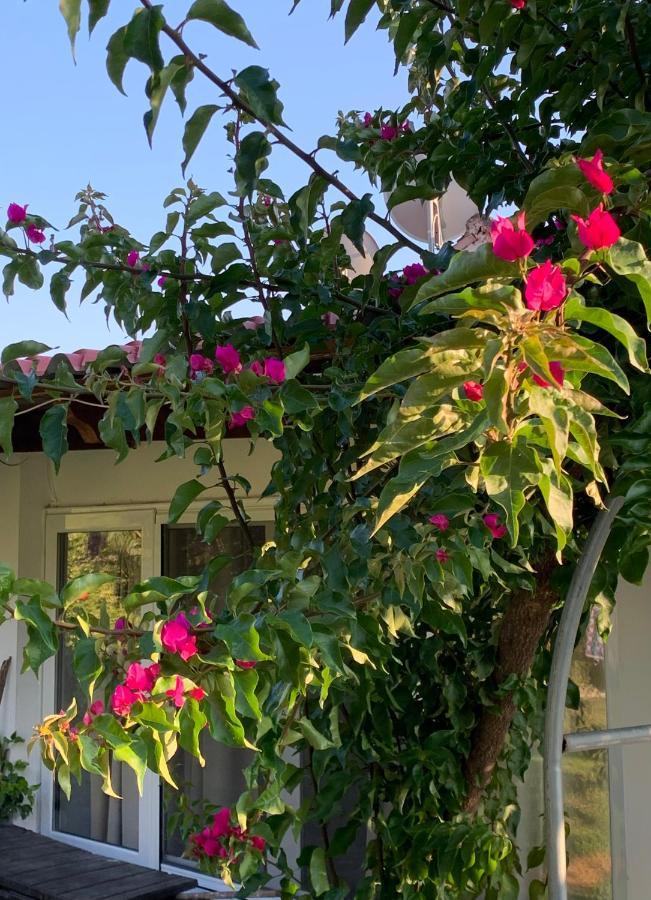 Vila La Casa Di Mare Agios Gordios  Exteriér fotografie